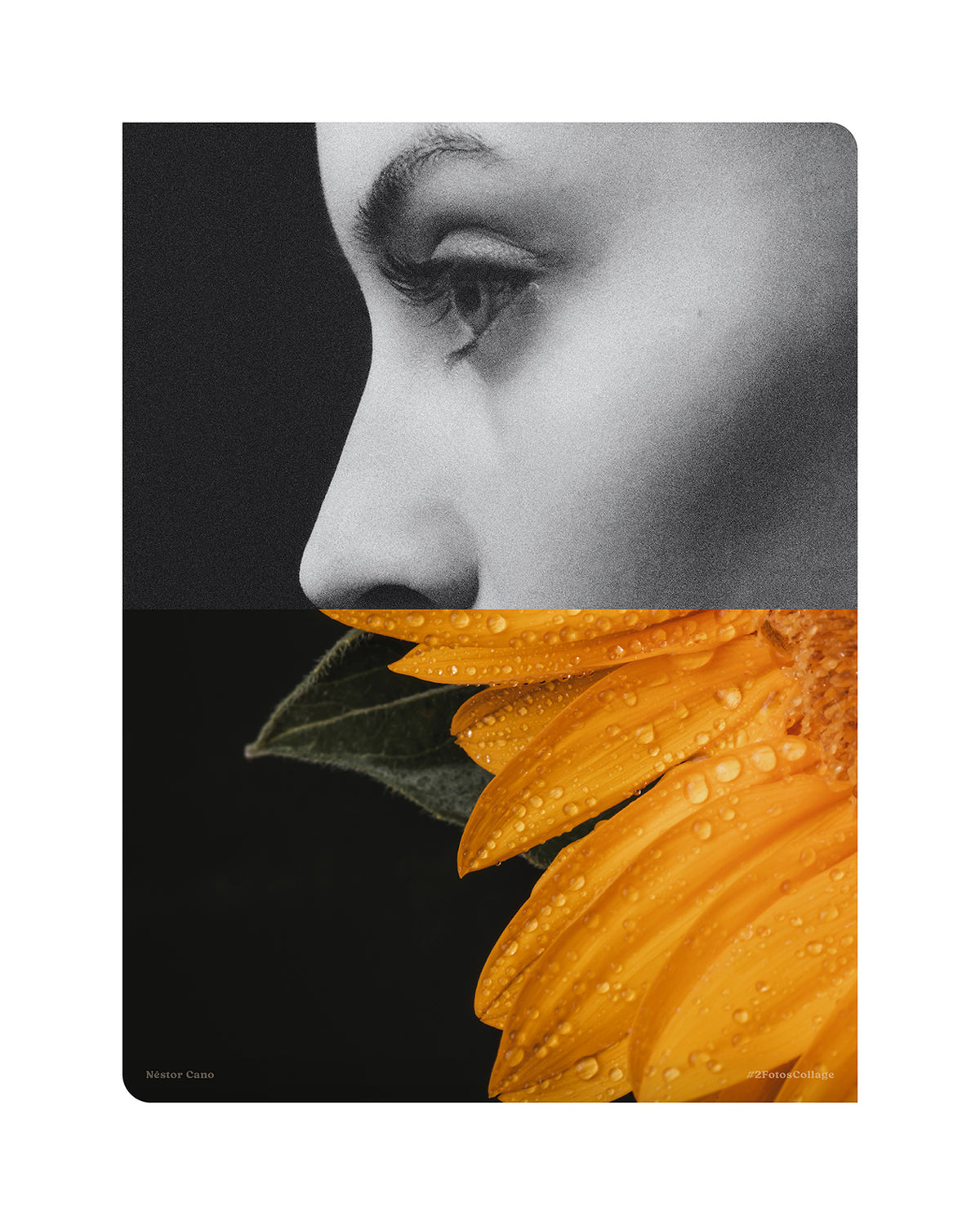 Natural look / 30 x 40 cm / Serie limitada a 3 obras