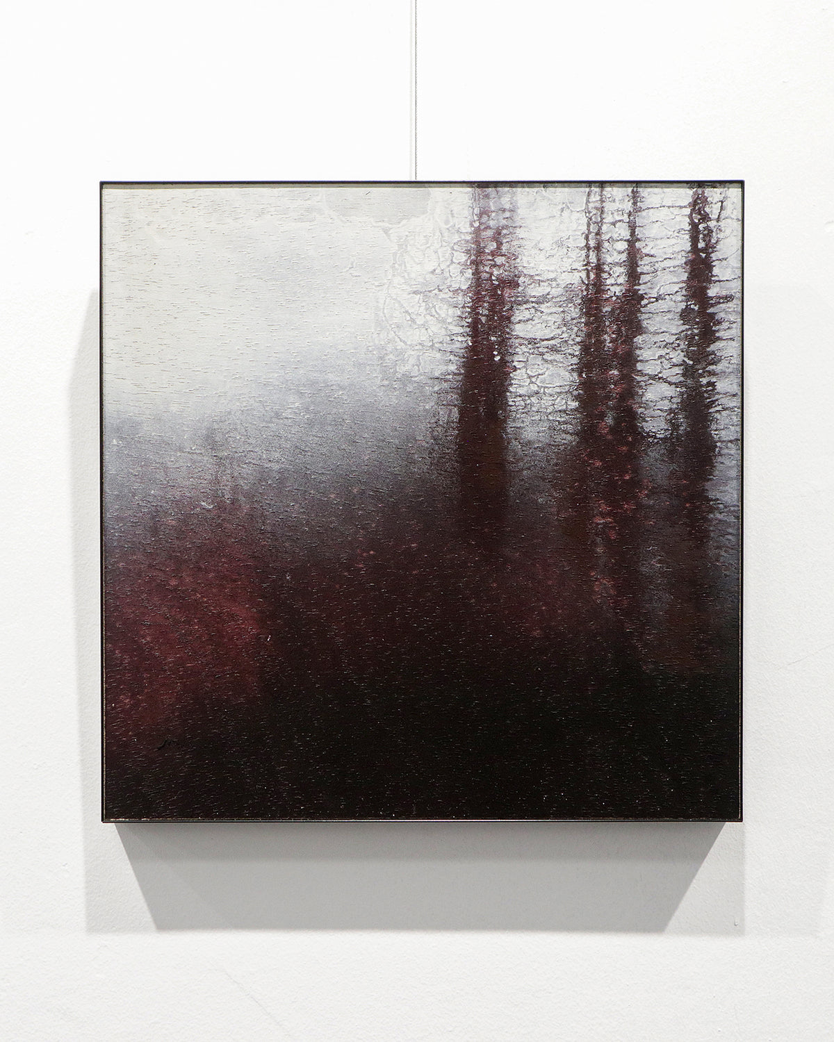 Brumas Rojas / 40 x 40 cm / José Arias