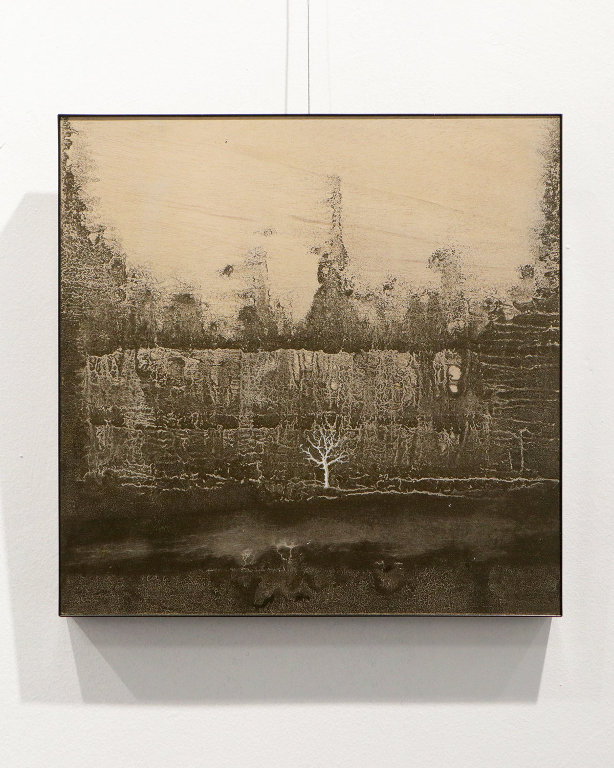 Claros / 40 x 40 cm / José Arias