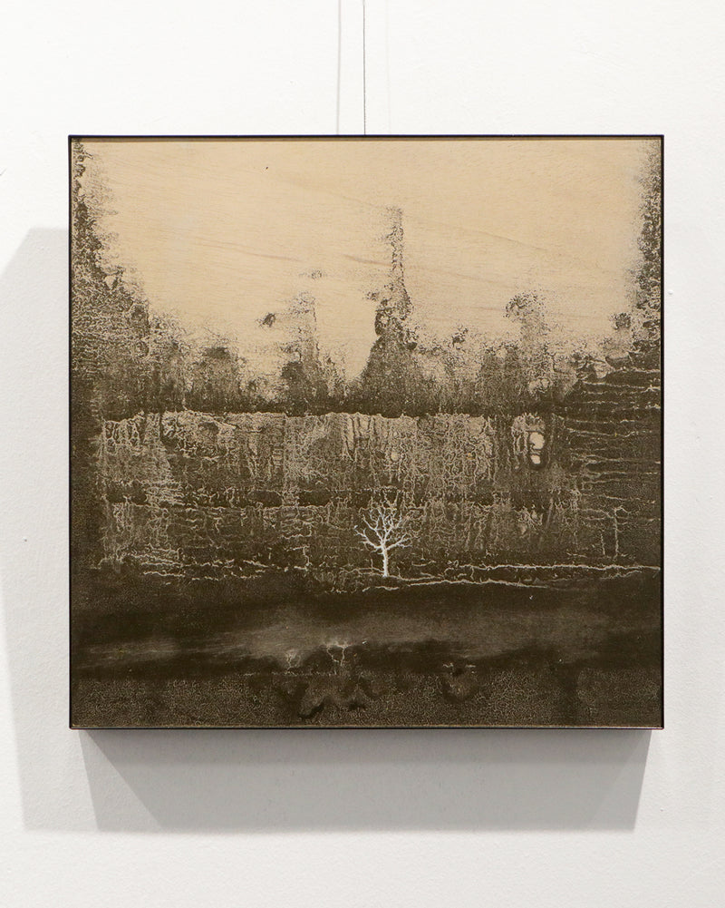 Claros / 40 x 40 cm / José Arias